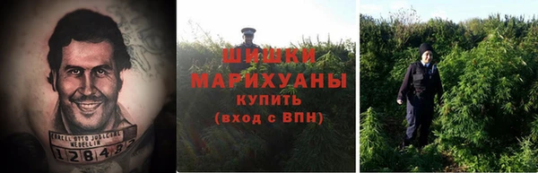 молекула духа Ельня