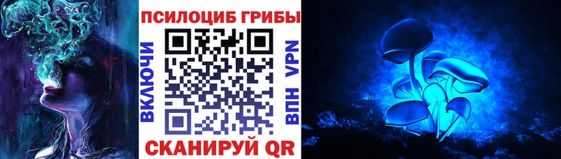Галлюциногенные грибы MAGIC MUSHROOMS  где найти   omg tor  Владивосток 