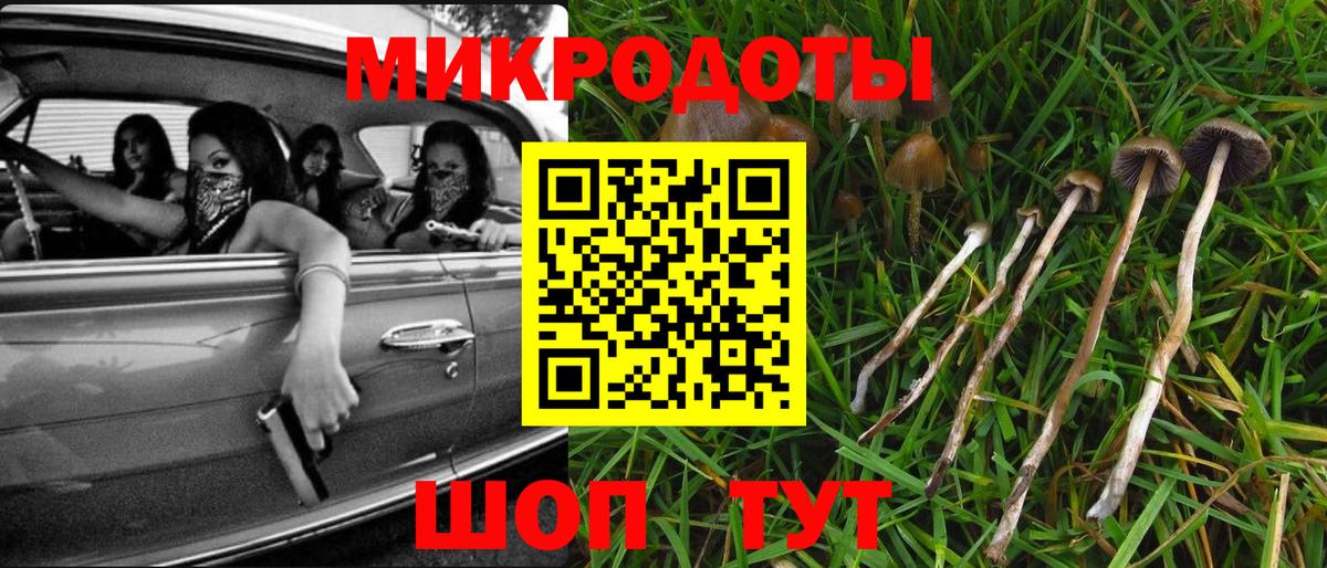 Псилоцибиновые грибы Cubensis  где купить   Псилоцибиновые грибы Psilocybine cubensis  Владивосток  Вход с VPN 