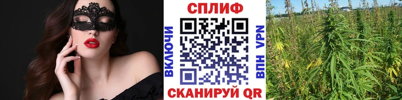 Конопля MAZAR  Владивосток 
